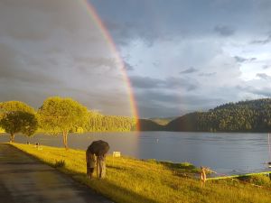 Campingplatz "Bergsee Ratscher" — photo 4